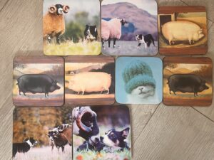 Joblot Mixed Coasters
