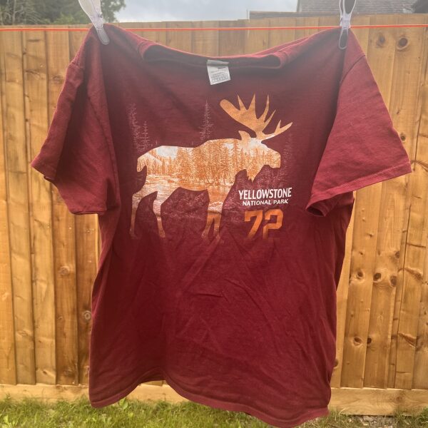 Yellowstone National Park Tee - Large