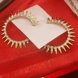 Large Hoop Earrings