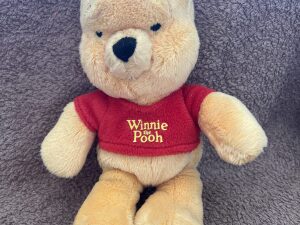 Winnie the Pooh Plushie