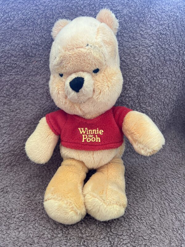 Winnie the Pooh Plushie
