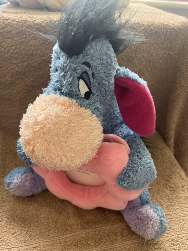 Eeyore Photo Frame Plushie