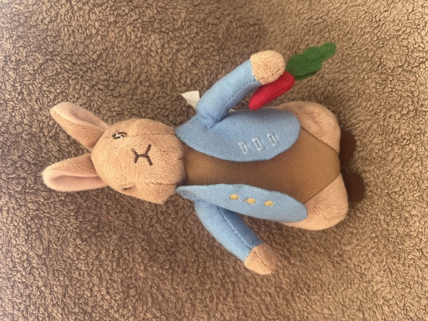 Small Peter Rabbit Plushie