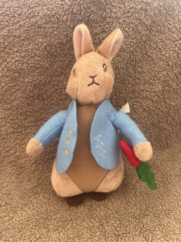Small Peter Rabbit Plushie