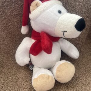 Kinder Polar Bear