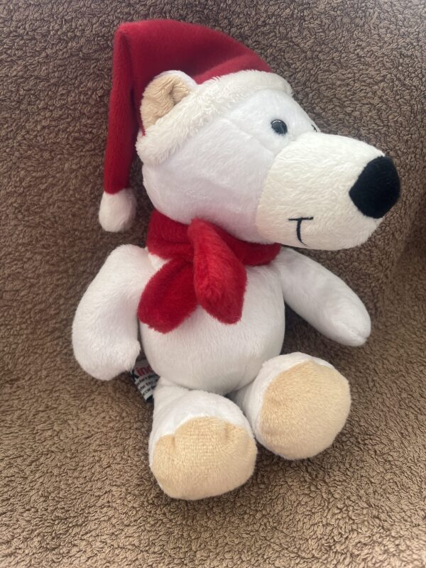 Kinder Polar Bear