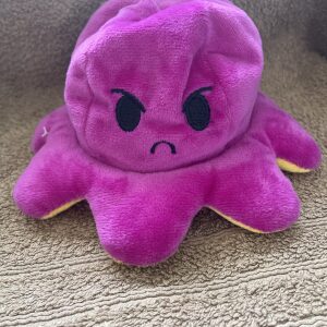 Cute Octopus Reversible Plushie