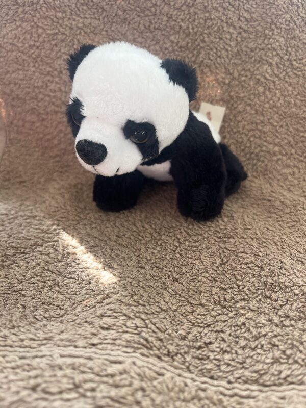 Small panda plush