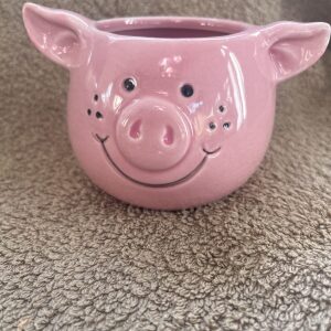 Small Pig Plant Pot