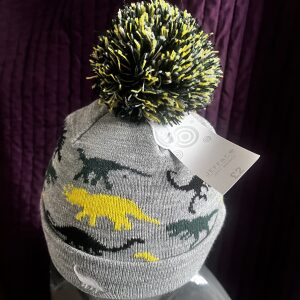 Kids dinosaur hat 2+