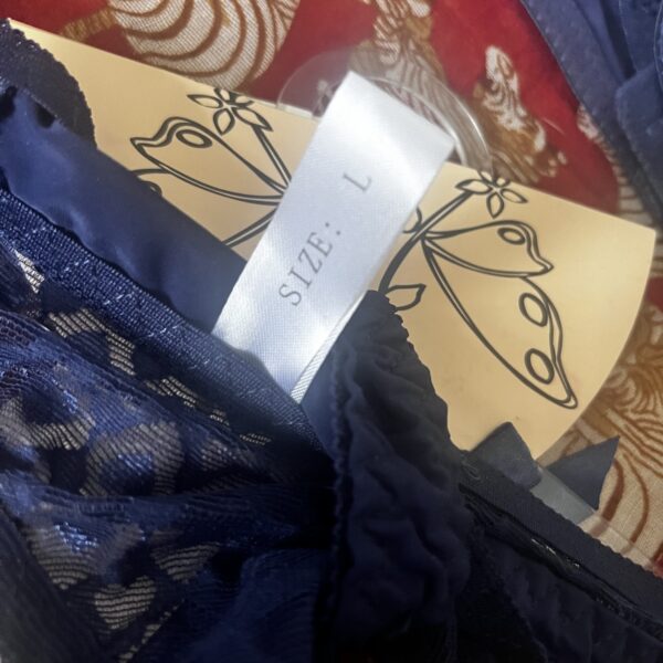 Inoo Lingerie Set NWT 36B and Large matching briefs - Image 2
