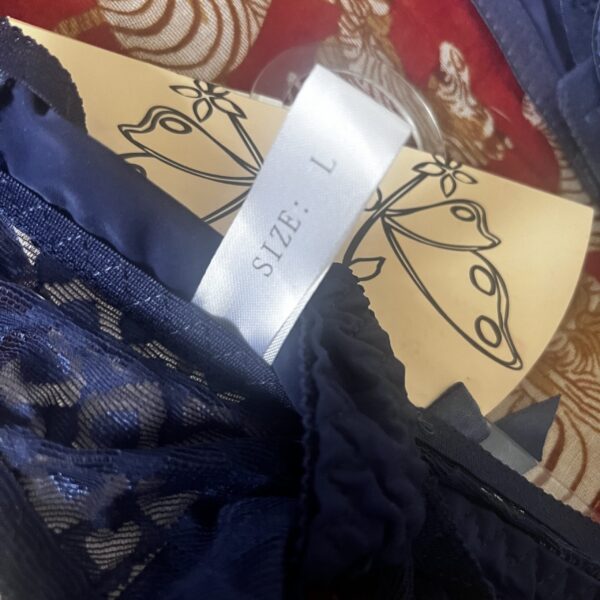 Inoo Lingerie Set NWT 36B and Large matching briefs - Image 2