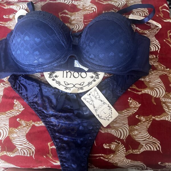 Inoo Lingerie Set NWT 36B and Large matching briefs