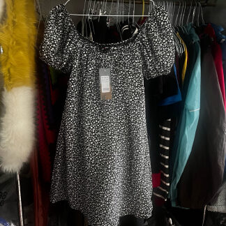 NWT Cameo Rose Dress - 12