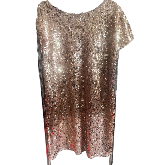 NWT NEXT Party Dress - 14 petite